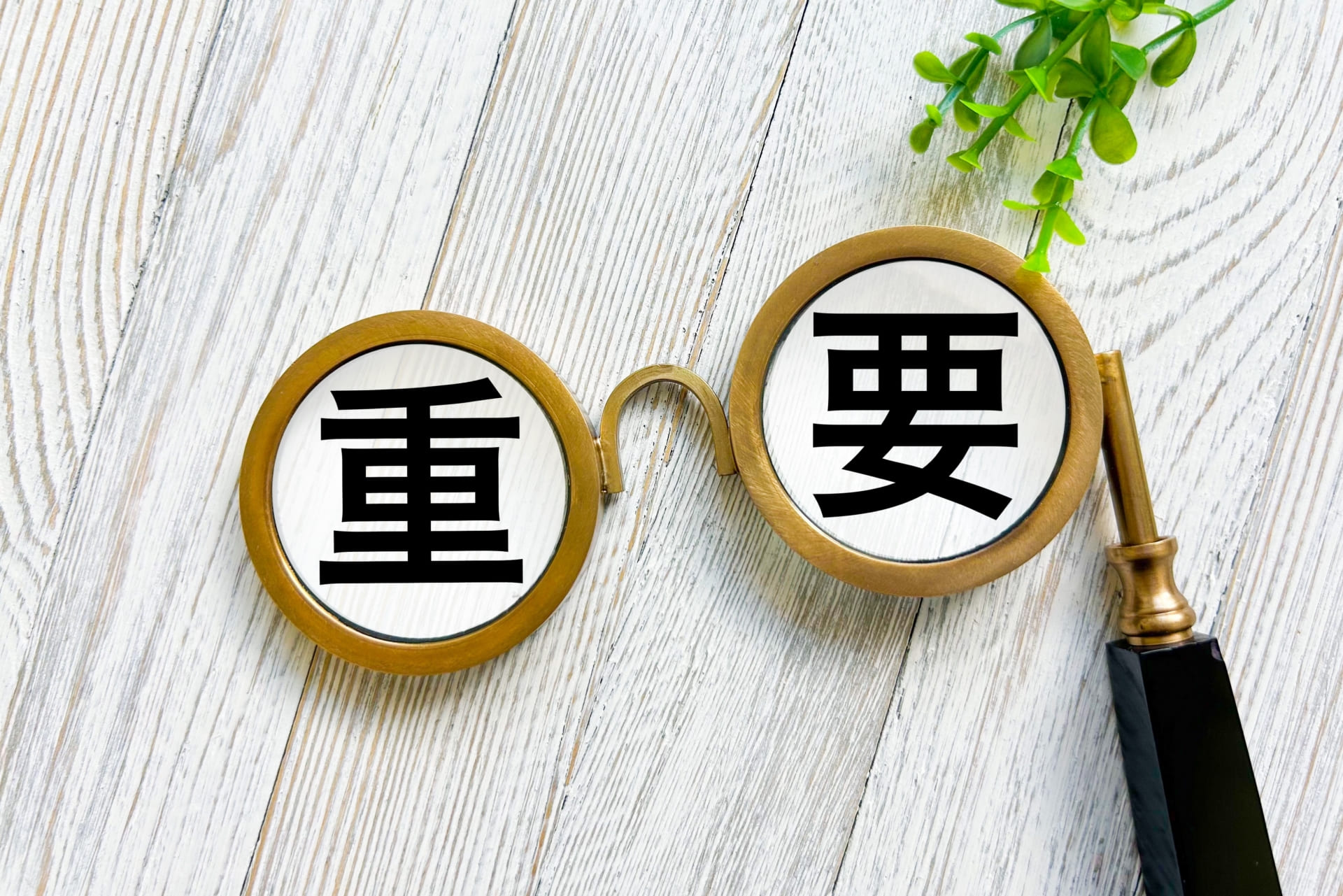 40歳から1000万円貯金するためには資産形成が重要
